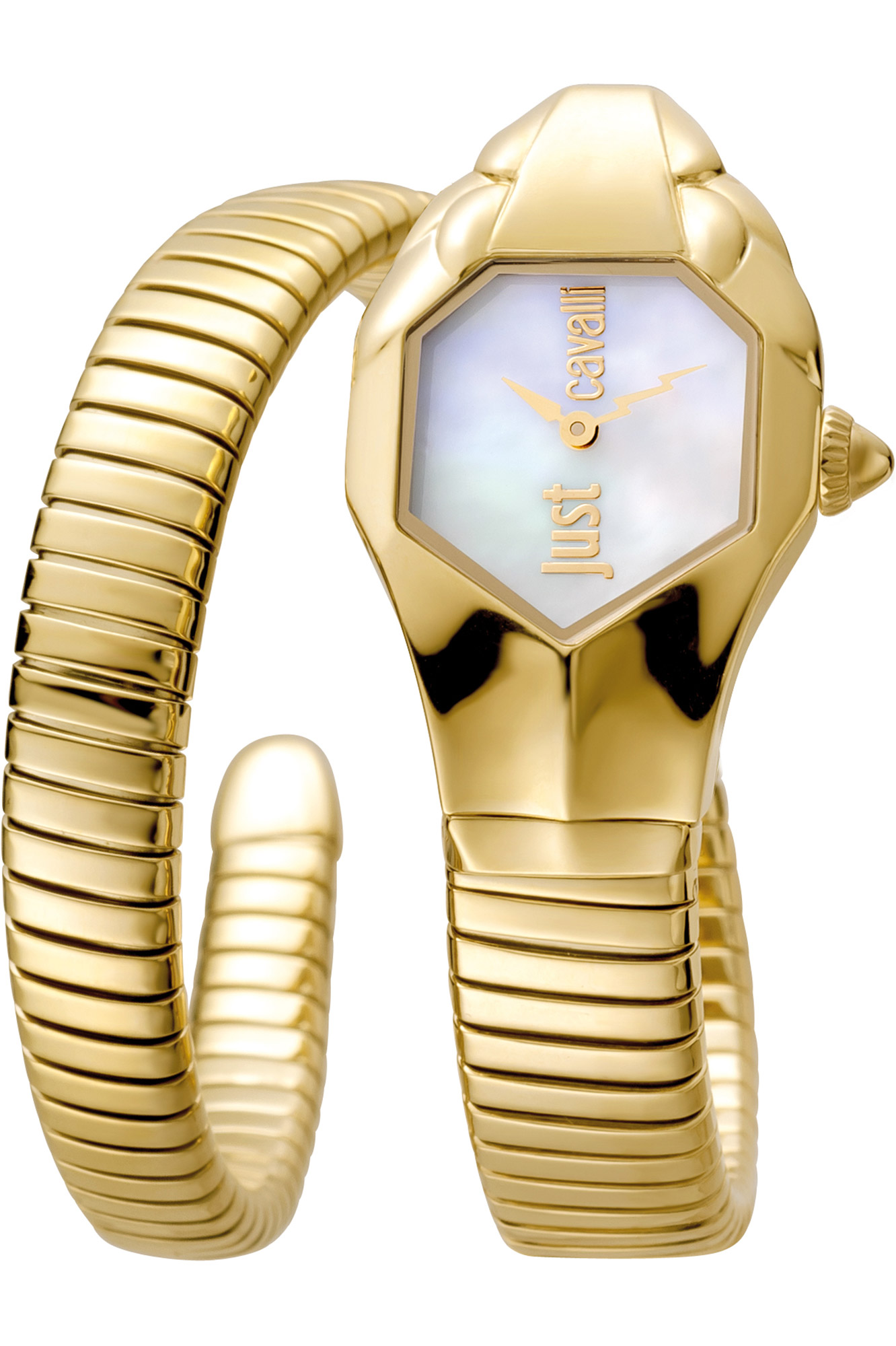 JUST CAVALLI JC1L001M0025